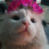 olya_loginovasanginova7