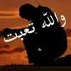 dydwg690ua551966safa1966