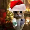 jessi_costaa