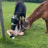 horsesforever54
