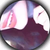 sh_55446.8