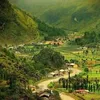 bichhuyen362