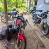 wahyugendhon