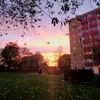 roohirashidroohan7