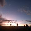 cami.12.florew