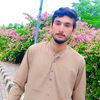 bisharatali13645