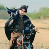 javednoor78