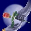 user044872627