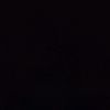 tolzz_01