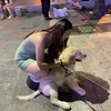 nnquynh.1129