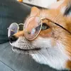 smartfox._