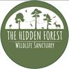 hiddenforestsanctuary