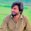 parrot_lover03