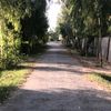 malikamin2501