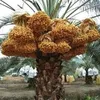 user91095298198818