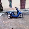 beluluk74