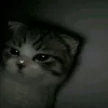 usersyaaaa1