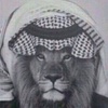 bader_q884