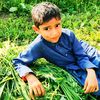muhammadfareed7371