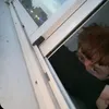 Тгк: молодой vampire 🧛
