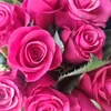 blumen.f