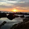 pacco_456