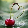 trecy9602