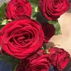 lina_359346