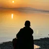 alehiseen