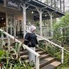 ccbaringung