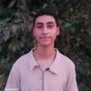 nourmohamed3533