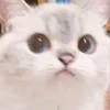 zaino__001