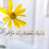 hsham749