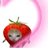 jelly_beenie
