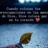 _nely97