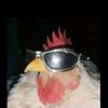 biplov_garunge7