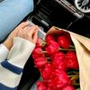 aliyakhan_official0