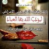 mohamedzaki3870