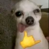 32672572f