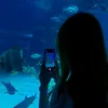 kitanaa_0606
