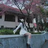 alice1.0.10