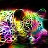 takihamed7