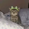 iyaaapril