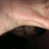 jorgealexander631