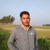 khalik371