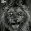 marwan.tahiri72