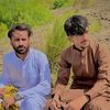 malikazhar78611