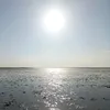 julie_wen
