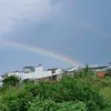 truongpham240397