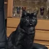 0rafica0